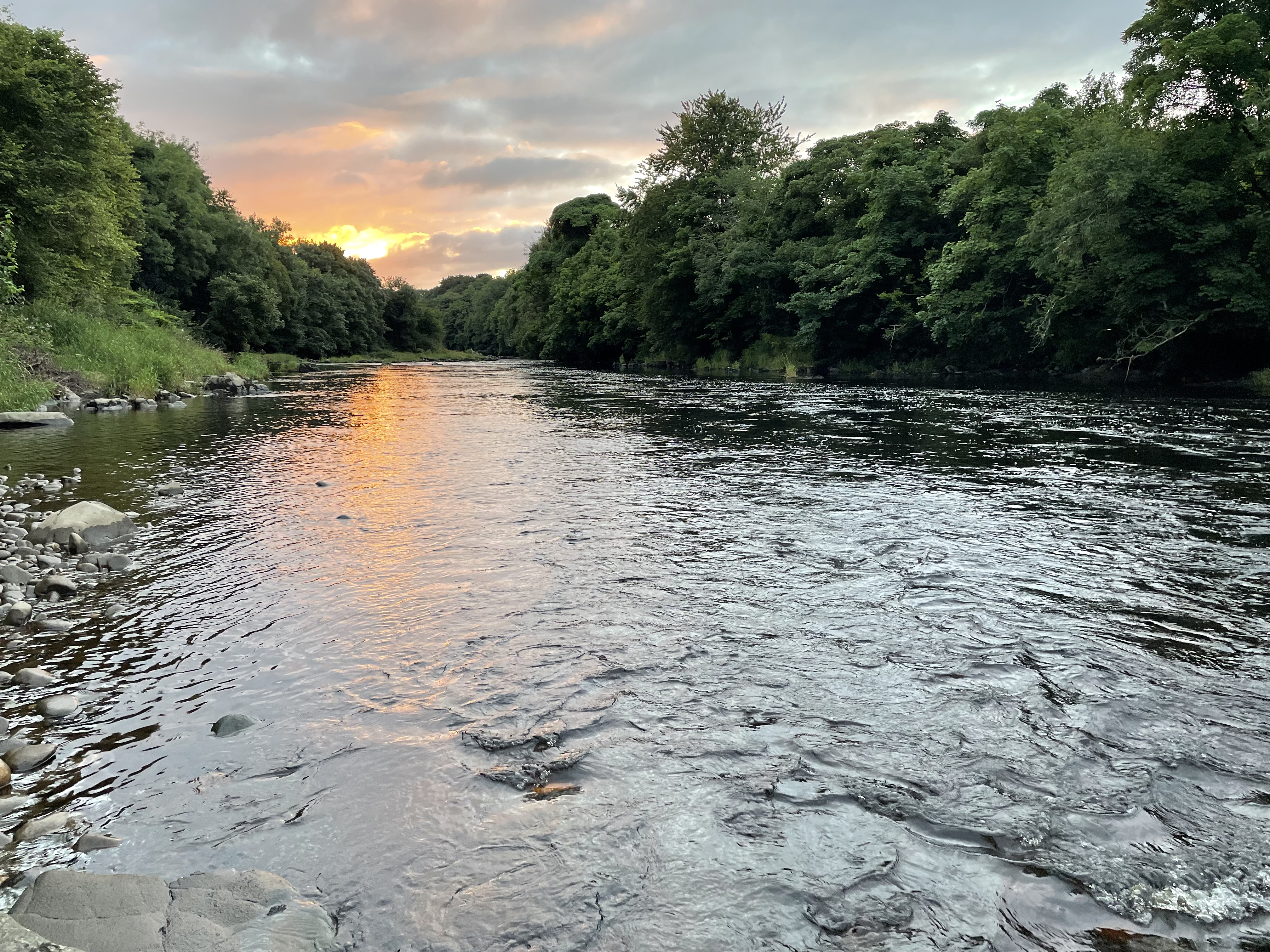 Angler fishing at sunrise